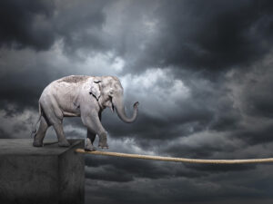 La gestion des risques est la clé