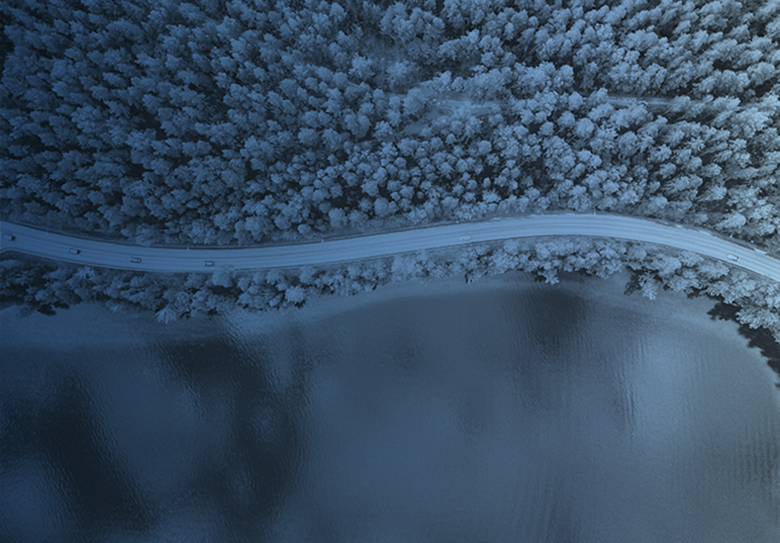 1600×1114 Placements Mackenzie Konstantin alternate text for this image