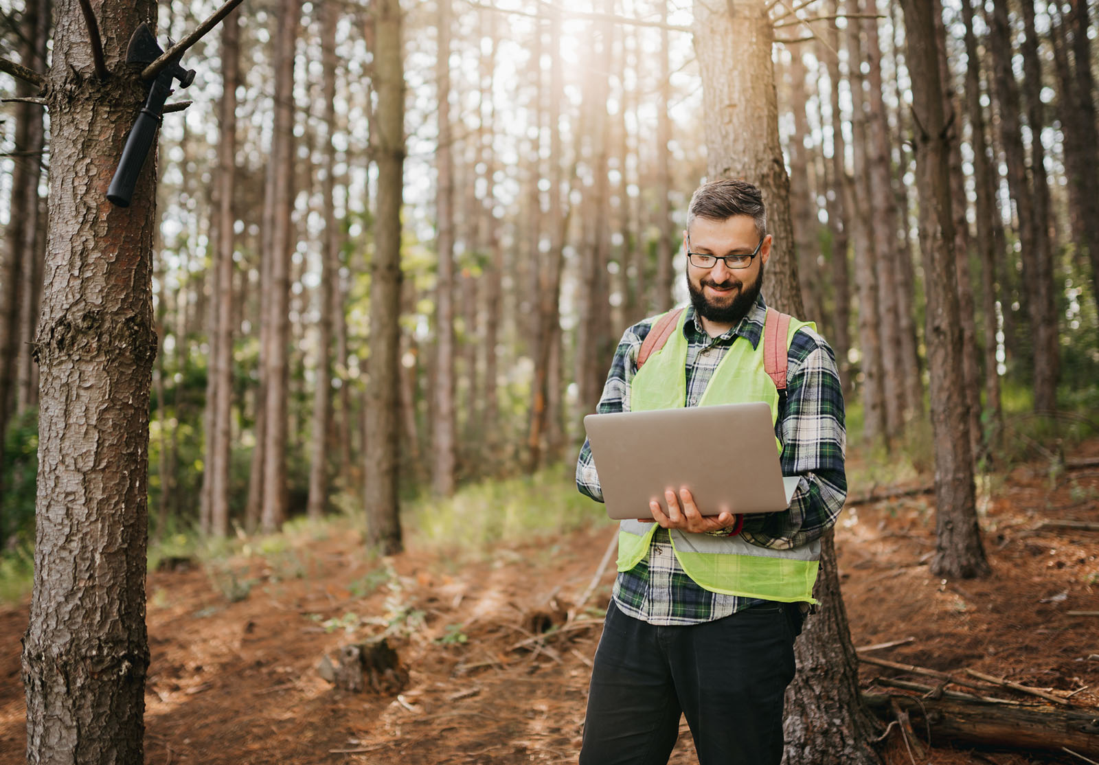 garde forestier surveillant l'écosystème forestier
