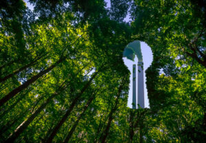 Accélérer la transition vers une économie plus sobre en carbone