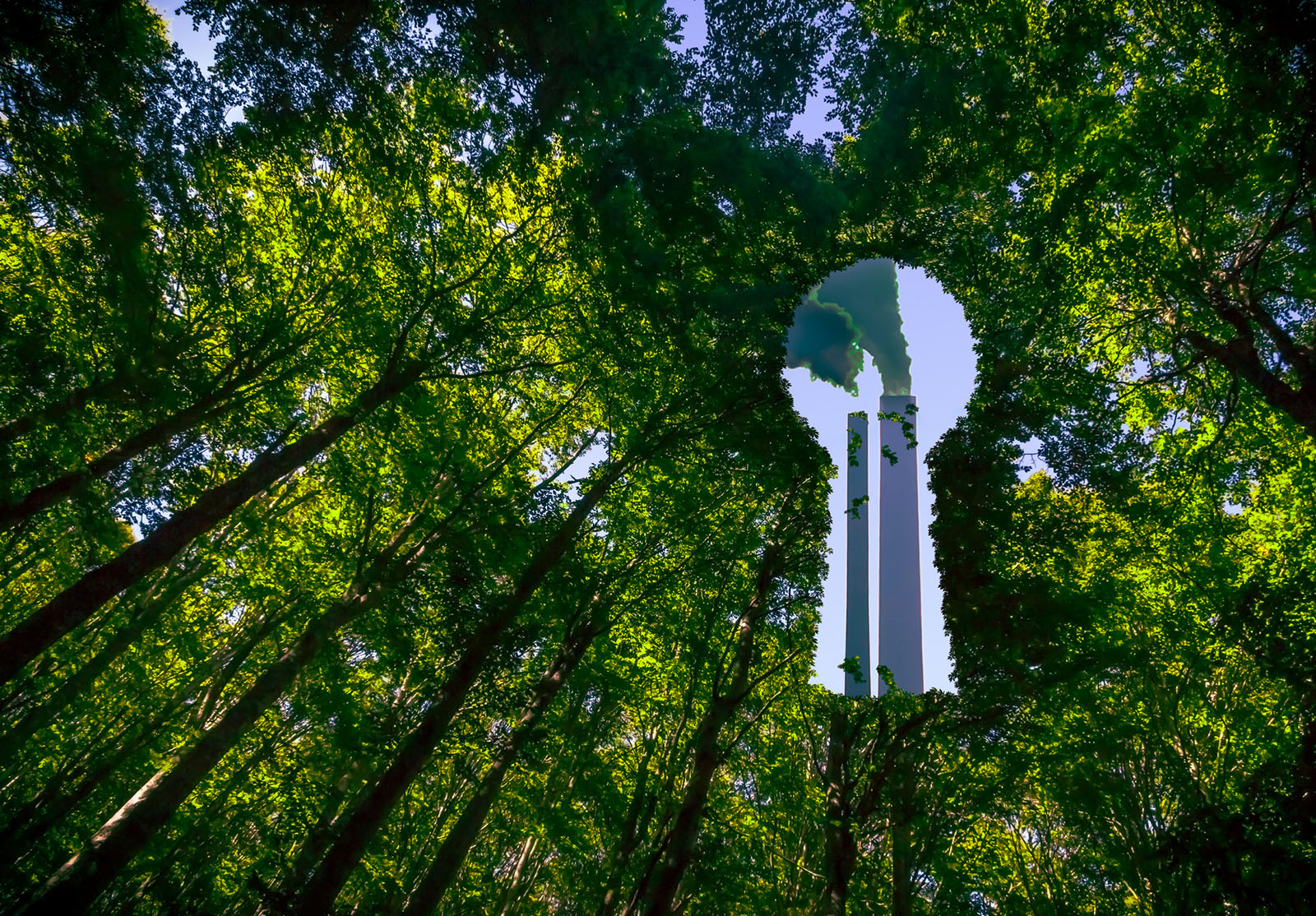 Cheminées d'une usine ou d'une centrale électrique cachées derrière une forêt verdoyante