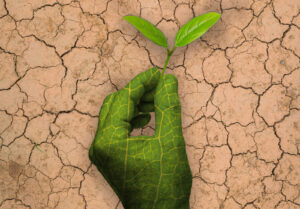 Les fonds de pension progressent dans la lutte contre le changement climatique