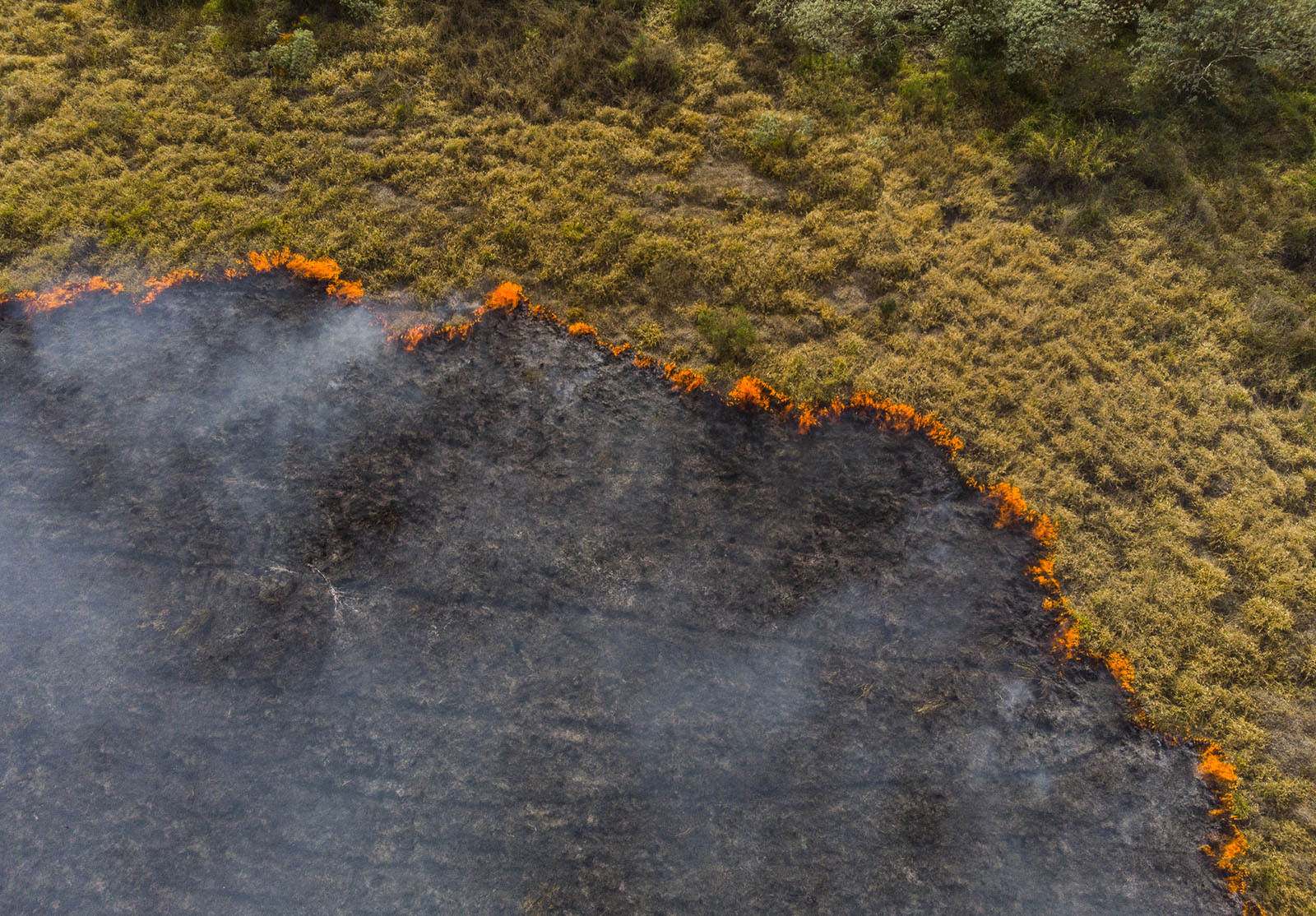 Vue par drone d'un pâturage en feu au Brésil pendant la saison sèche
