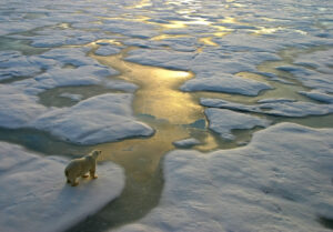 Les ACVM : vers une nouvelle réglementation climatique