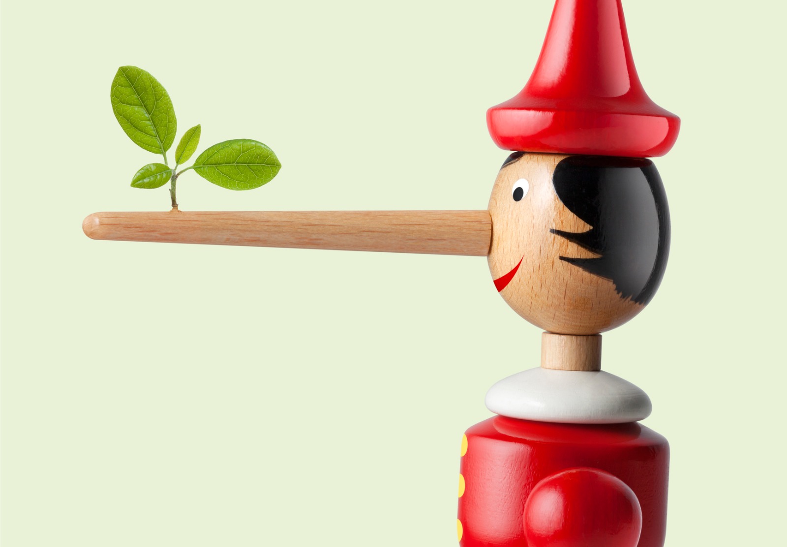 Un petit pinocchio en bois. Sur son long nez pousse une petite plante.